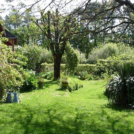 Le Jardin Aux Oiseaux Bed & Breakfast Férel Екстериор снимка