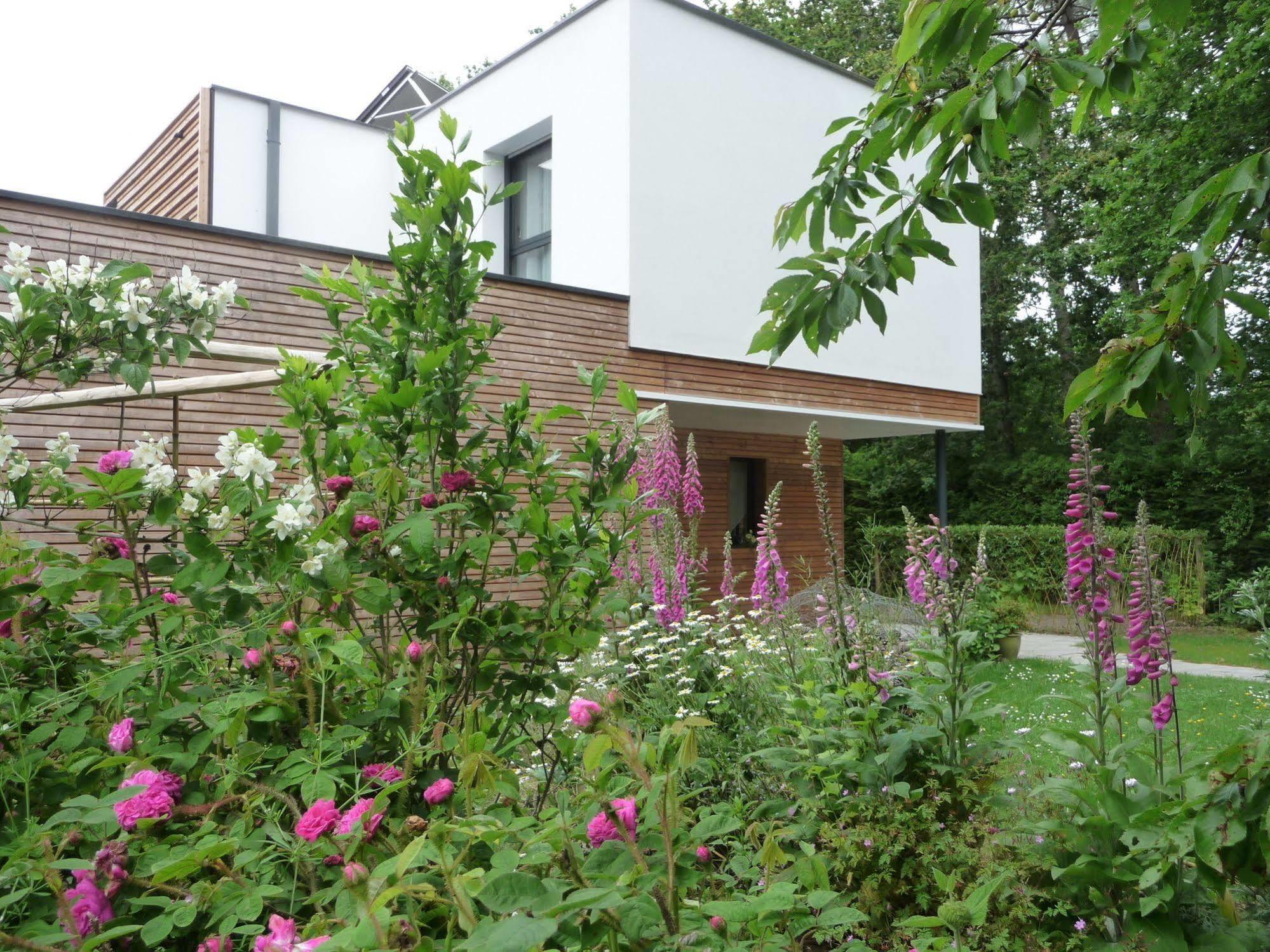 Le Jardin Aux Oiseaux Bed & Breakfast Férel Екстериор снимка
